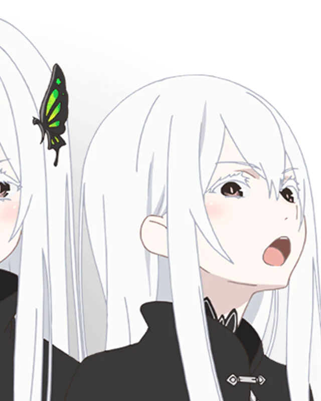 Echidna